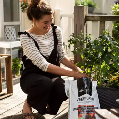 Zastosowanie podłoża mineralnego Lechuza VEGGIEPON