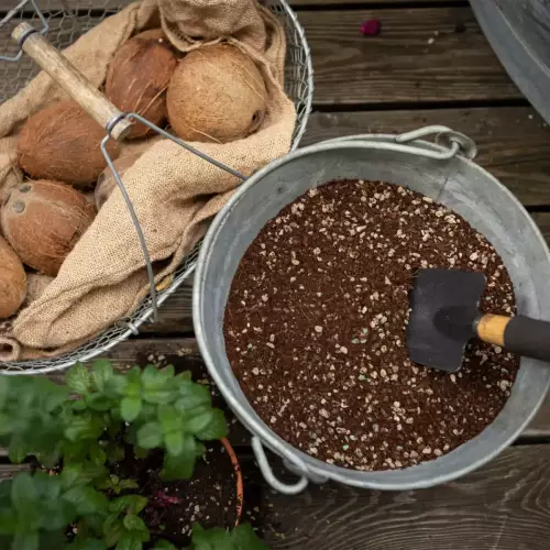 Wygląd Lechuza VEGGIEPON