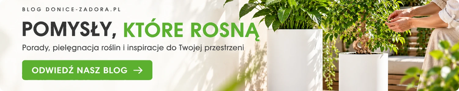 BLOG - AKTUALNOŚCI