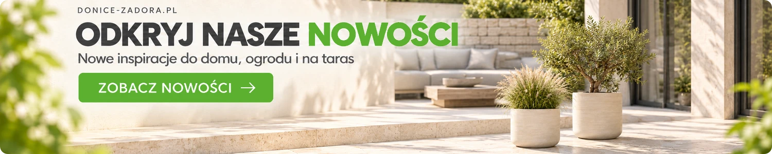 Nowości odkryj