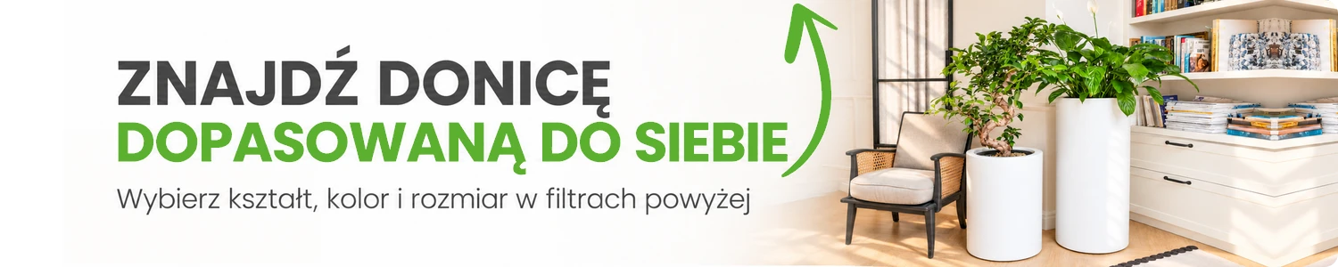 WYSZUKIWARKA