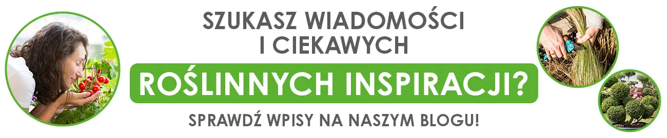 baner_animacja_gorna_blog_1300x270px