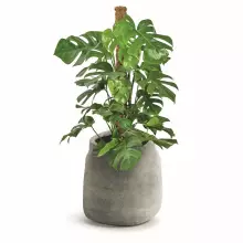 Donica BOGE TBO40-102GR Ø38x40 cm szary kamień