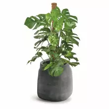 Donica BOGE TBO40-106GR Ø38x40 cm szary beton