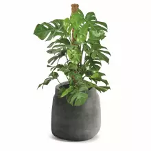 Donica BOGE TBO40-107GR Ø38x40 cm grafitowy kamień