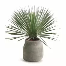 Donica BOGE TBO48-102GR Ø46x47 cm szary kamień