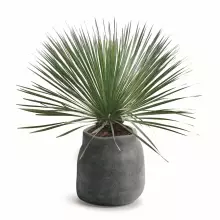 Donica BOGE TBO48-106GR Ø46x47 cm szary beton