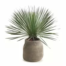 Donica BOGE TBO48-231R Ø46x47 cm macchiato