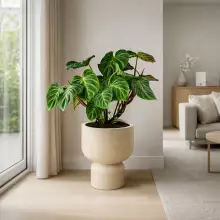 Donica MOLTA GRAIL TMG40-101GR Ø40x43 cm piaskowy