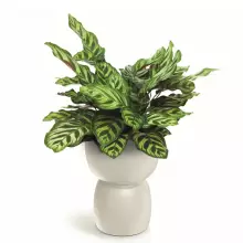 Donica DUALA ROUND TDR30-101GR Ø30x41 cm piaskowy