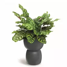 Donica DUALA ROUND TDR30-106GR Ø30x41 cm szary beton