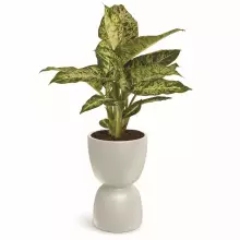 Donica DUALA ROUND MIDL TDR40M-101GR Ø40x61 cm piaskowy