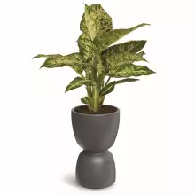 Donica DUALA ROUND MIDL TDR40M-105GR Ø40x61 cm jasny granit