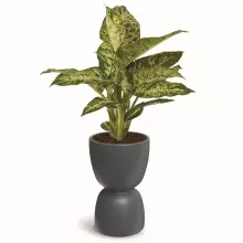 Donica DUALA ROUND MIDL TDR40M-106GR Ø40x61 cm szary beton