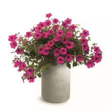 Donica EPOCCO BOLD TEP48B-101GR Ø48x60 cm piaskowy