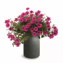 Donica EPOCCO BOLD TEP48B-107GR Ø48x60 cm grafitowy kamień