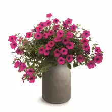 Donica EPOCCO BOLD TEP48B-231R Ø48x60 cm macchiato