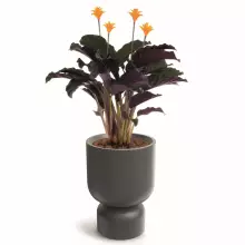 Donica MOLTA GRAIL MIDL TMG40M-105GR Ø40x54 cm jasny granit