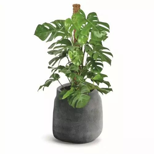 Donica jak kamień BOGE TBO40 kolor szary beton