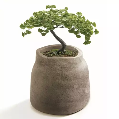 Donica BOGE TBO40 w kolorze macchiato