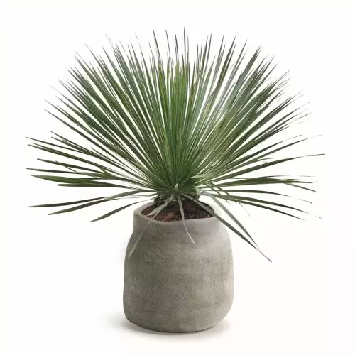 Duża szara kamienna donica BOGE TBO48 na taras