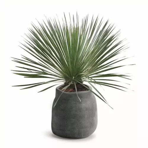 Donica jak z kamienia BOGE TBO48 kolor szary