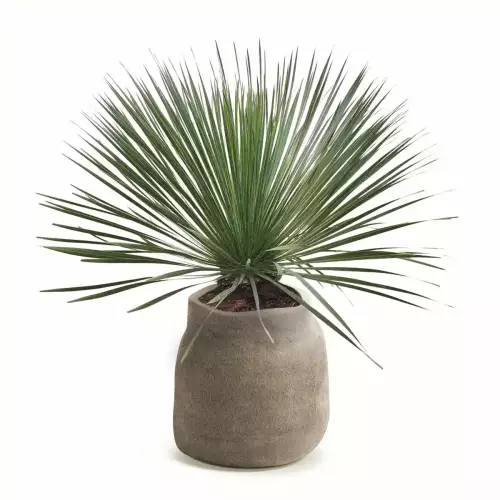 Beżowa donica jak z kamienia - BOGE 48 kolor macchiato