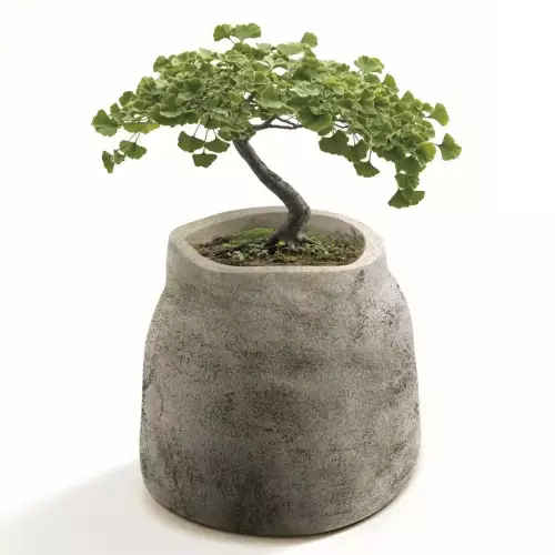 Donica BOGE TBO48-231R w kolorze macchiato