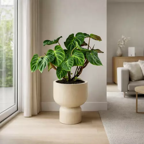 Piaskowa donica MOLTA GRAIL TMG40 w salonie