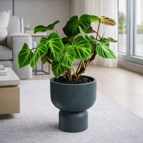 Donica MOLTA GRAIL TMG40-105GR Ø40x43 cm jasny granit