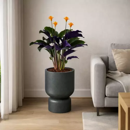 Donica klielich MOLTA GRAIL MIDL grafitowy kamień