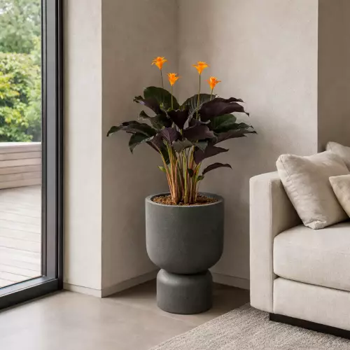 Donica klielich MOLTA GRAIL MIDL jasny granit