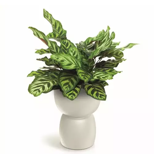 Donica klielich DUALA ROUND TDR30 kolor piaskowy