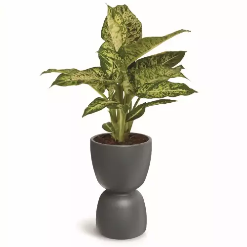 Dwustronna donica kielich DUALA ROUND MIDL TDR40M jasny granit