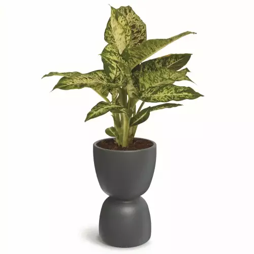 Donica kielich DUALA ROUND MIDL TDR40M szary beton