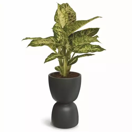 Donica kielich DUALA ROUND MIDL TDR40M grafitowy kamień