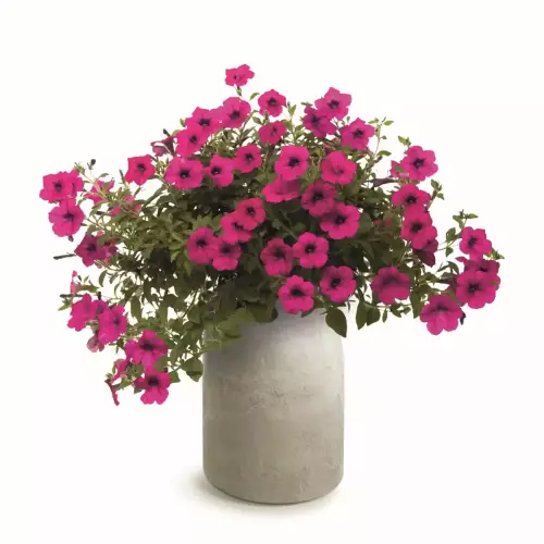 Beżowa donica EPOCCO BOLD TEP48B Beżowa donica EPOCCO BOLD TEP48B