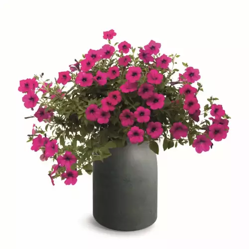 Grafitowa donica EPOCCO BOLD TEP48B