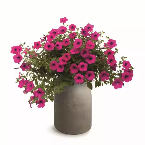 Beżowa donica EPOCCO BOLD TEP48B