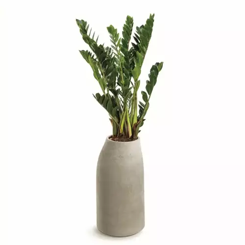 Beżowa donica EPOCCO MIDL TEP38M