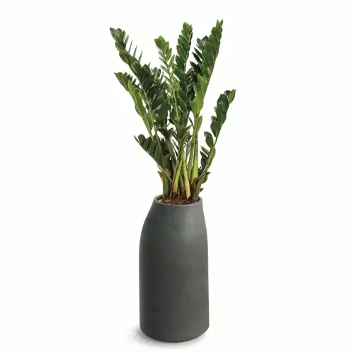 Grafitowa donica EPOCCO MIDL TEP38M