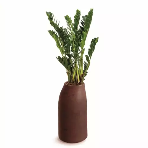 Ceglana donica EPOCCO MIDL TEP38M