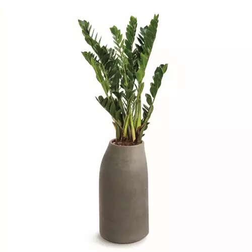 EPOCCO MIDL TEP38M w odcieniu ciepłego beżu