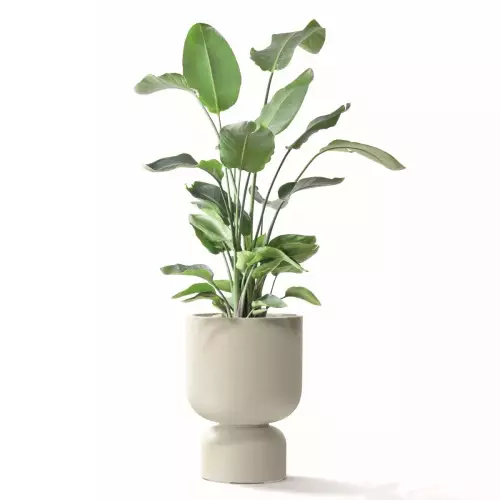 Donica MOLTA GRAIL MIDL w kolorze piaskowym