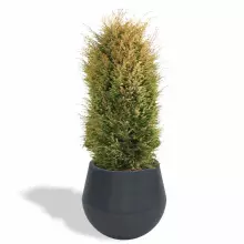 Donica z polietylenu AURORA PL-AU45 antracyt