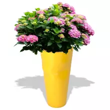 Donica z polietylenu BENT ST-BENT69-PD cytryna