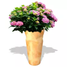 Donica z polietylenu BENT ST-BENT69 terakota