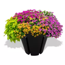 Donica z polietylenu BIKEPOT czarny