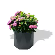 Donica z polietylenu CERES PL-CE70 antracyt