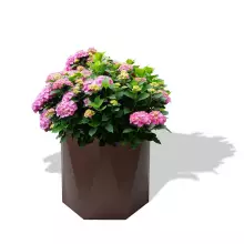 Donica z polietylenu CERES PL-CE70 czekolada